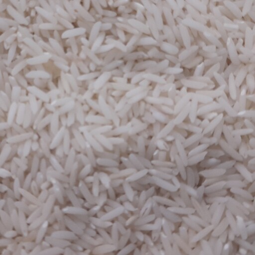 برنج  صد درصد هاشمی اعلاء  رنگ سفید ، دانه کامل،بدون قاطی کردن با برنج های دیگر ،در بسته بندی 20 کیلوگرمی