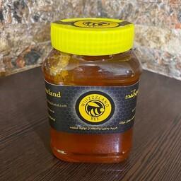 عسل طبیعی کوهی ویزلند (ساکارز زیر 2 درصد) یک کیلویی