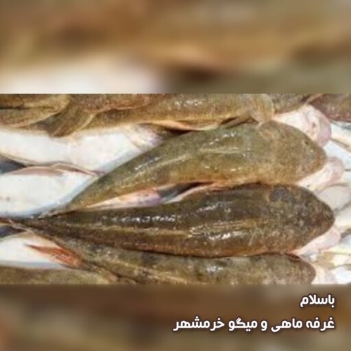 ماهی  زمین کن سایز متوسط تازه و صید روز (پک یک کیلویی)بسیار خوشمزه و لذیذ مناسب برای سرخ کردن