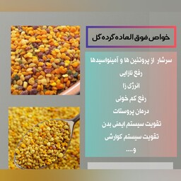 گرده گل درجه یک در بسته بندی 500 گرمی 