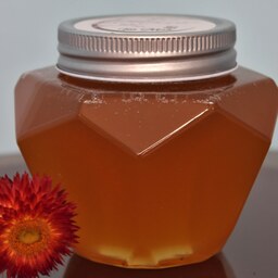 عسل طبیعی و ارگانیک گل یاس-ظرف نیم کیلویی