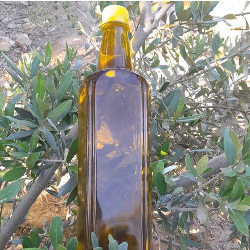 روغن زیتون 