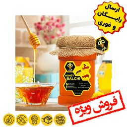 عسل چهل گیاه طبیعی بالچی 1 کیلوگرمی (ارسال رایگان و خرید از زنبوردار نمونه)