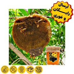 عسل طبیعی جنگلی بالچی (2 کیلوگرم)(بدون موم)(ارسال رایگان و فوری)(خرید مستقیم از زنبوردار نمونه)