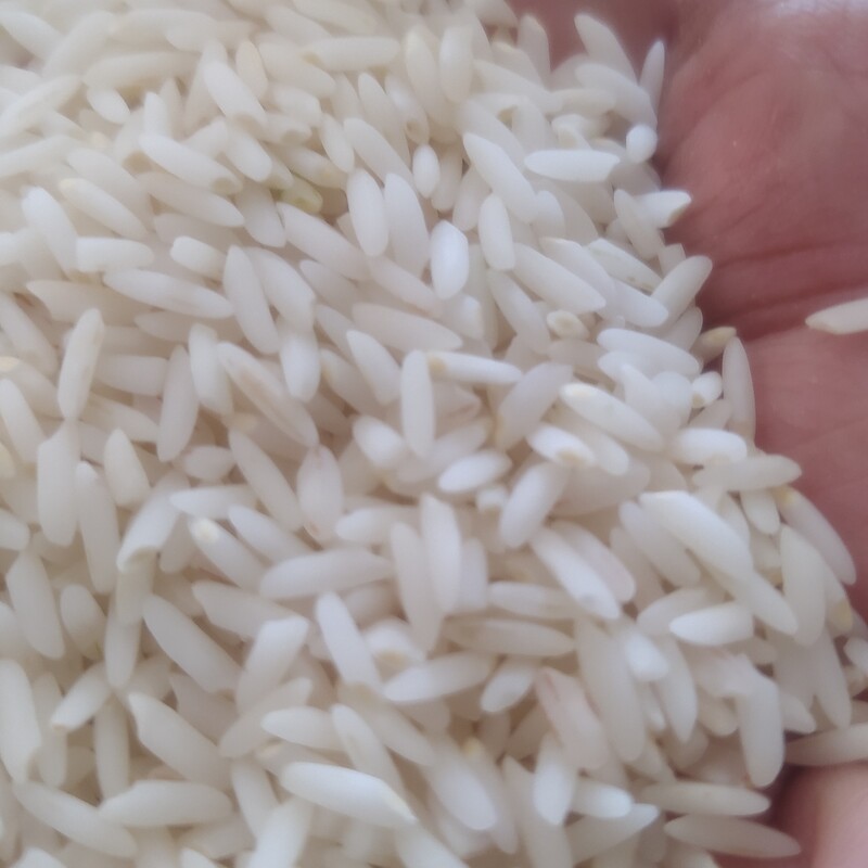 برنج طارم درجه یک معطر و خوش طعم علی کاظمی دورود لرستان دربسته بندی پنج کیلوگرمی 