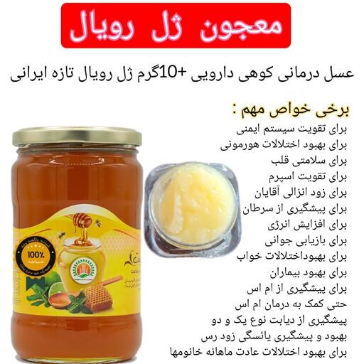 عسل کوهی دارویی و 10 گرم ژل رویال تازه ایرانی سبلان(خرید از زنبوردار)ارسال رایگان