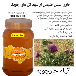 عسل طبیعی خارچوبه خام ارگانیک ساکارز زیر3درصد 1کیلویی سبلان(خرید از زنبوردار)ارسال رایگان