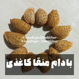 بادام کاغذی منقا