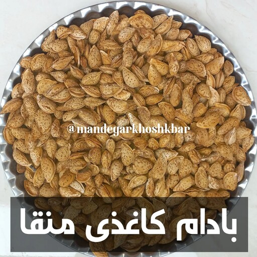 بادام کاغذی