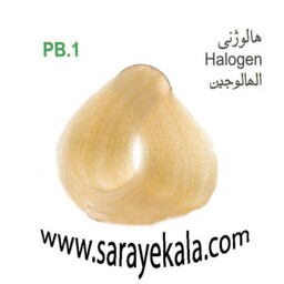 رنگ مو آرکیا (Arkia) PB1 هالوژنی 