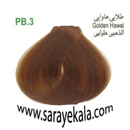 رنگ مو آرکیا (Arkia)  PB3 طلایی هاوایی