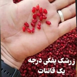 زرشک اناری نیم کیلویی درجه یک قائنات