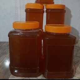 عسل درجه یک گون با طعم عطر  بی نظیربا تضمین کیفیت