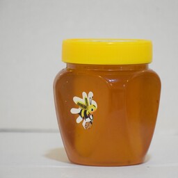 عسل کاملا طبیعی