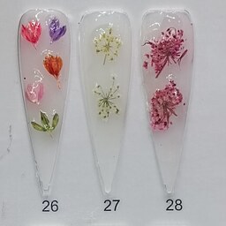 دیزاین انواع گل خشک طراحی ناخن کدهای 26 تا 31 نرلین Nerlin