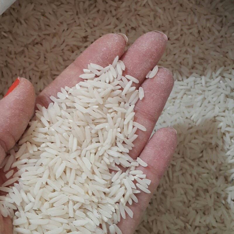برنج طارم هاشمی فوق اعلا  درجه 1 عطری مازندران.تضمینی 
