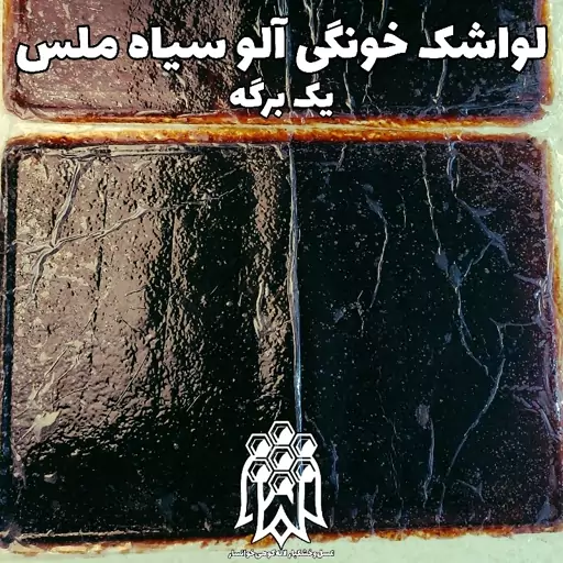 لواشک خانگی آلو سیاه ملس ( یک برگه) خشکبار لاله کوهی