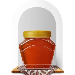 عسل نسیم بهار، عسل گشنیز 1000 گرم ، ضمانت آزمایشگاهی، خرید مستقیم از زنبوردار