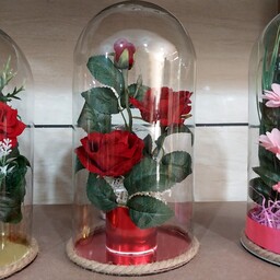 گل رز بوته خارجی در باکس شیشه