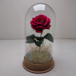 گل رز جاودان خارجی رنگبنی موجود بسیار شیک و رمانتیک مناسب برای سوپرایز