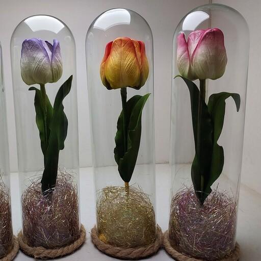 گل لاله شیک در باکس شیشه ای فلکسی 30سانت مناسب برای هدیه و کادو 