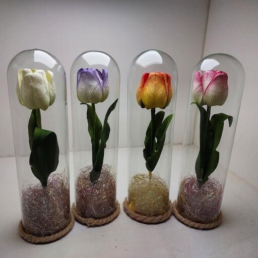 گل لاله شیک در باکس شیشه ای فلکسی 30سانت مناسب برای هدیه و کادو 