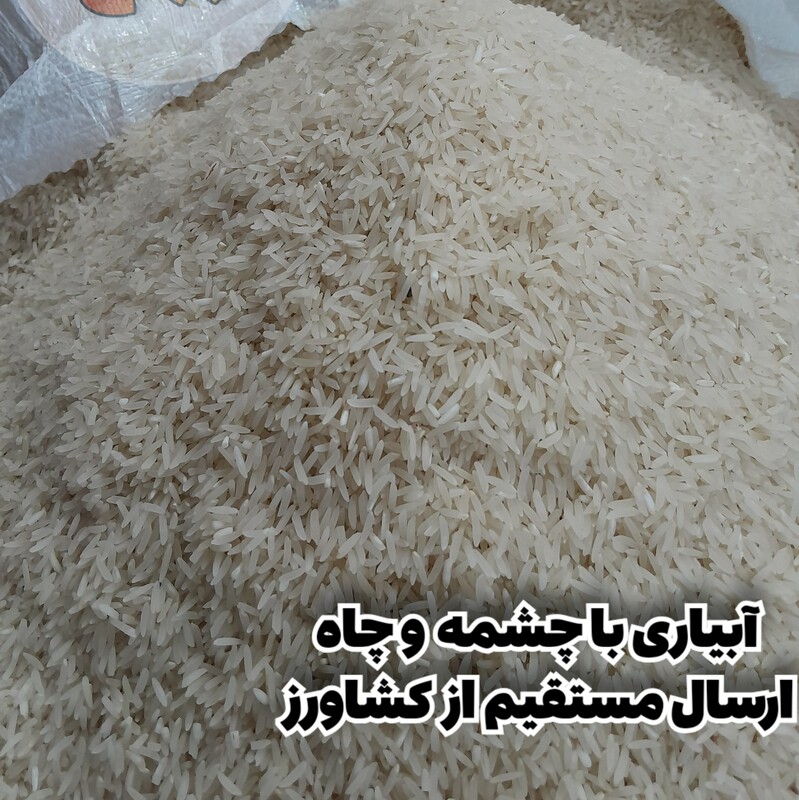برنج فجر سوزنی امساله گرگان 25 کیلویی(ارسال رایگان)