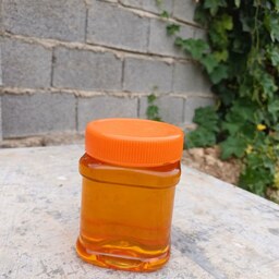 عسل گون طبیعی ممتاز کوه دنا ( یک کیلوگرمی)