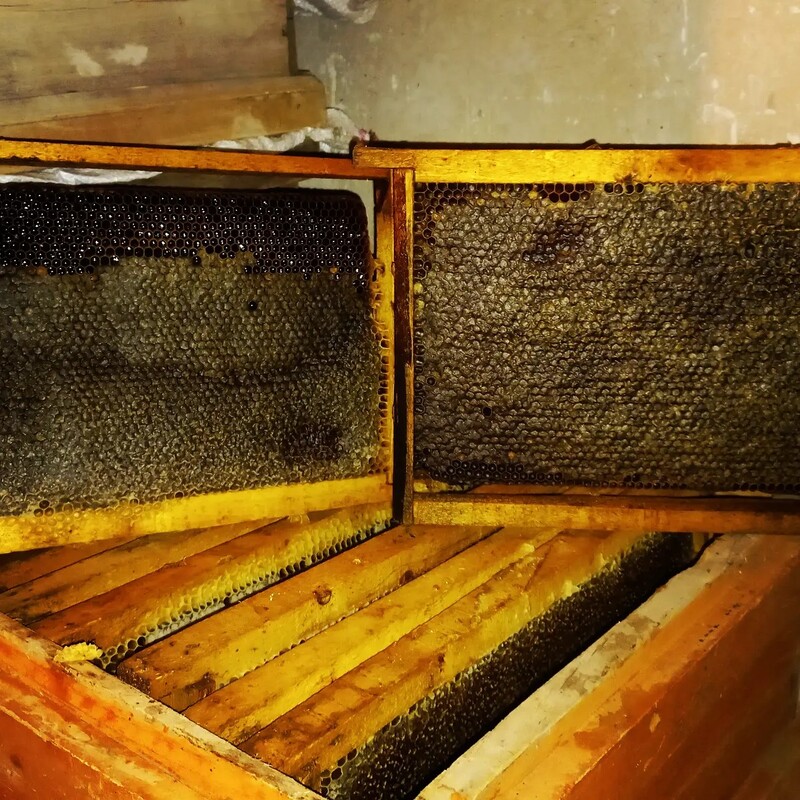 عسل سیاه 