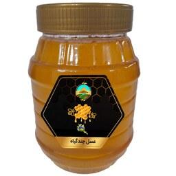 عسل طبیعی چندگیاه از تولید به مصرف 
