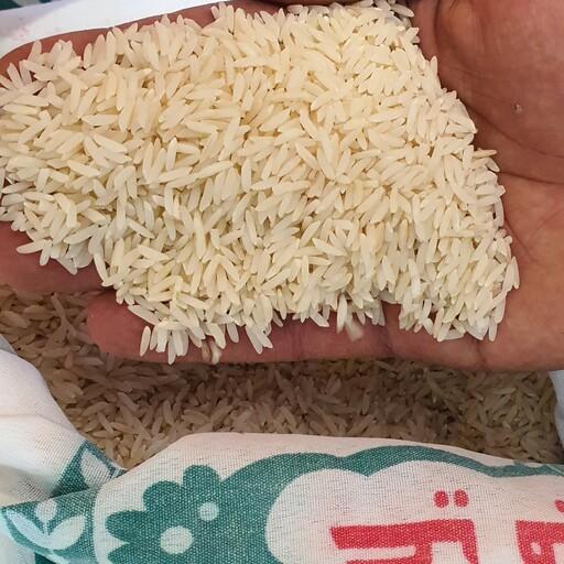 برنج طارم هاشمی نو عطری محصول شالیزار های بابل (کشت اول) 