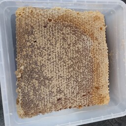 عسل طبیعی گون و آویشن با موم(500 گرمی)