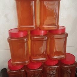 عسل طبیعی گون1402 یک کیلویی محصول کوههای اقلید فارس به شرط تاییدیه ازمایشگاه 
