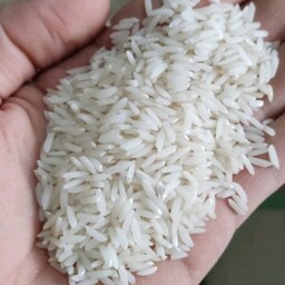 برنج دانه بلند هاشمی محصول تازه خوش عطر و طعم خوش پخت 