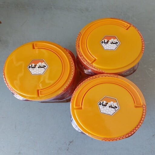 پک 3کیلویی عسل چندگیاه- دشتی و کوهی (خرید مستقیم از زنبوردار ) کف قیمتی با ارسال رایگان