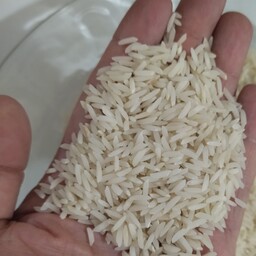 برنج طارم هاشمی عطری درجه یک 