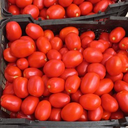 گوجه خشک  کاملا قرمز و خو ش رنگ مناسب برای استفاده داخل غذا و پودر کردن