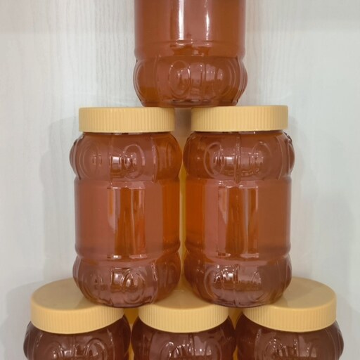 عسل طبیعی گون(یک کیلوگرمی)