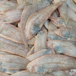 ماهی زبان پک یک کیلویی(لطفاً به ازای هر سبد خرید یک فشفشه یا یخچال سفید خریداری کنید)