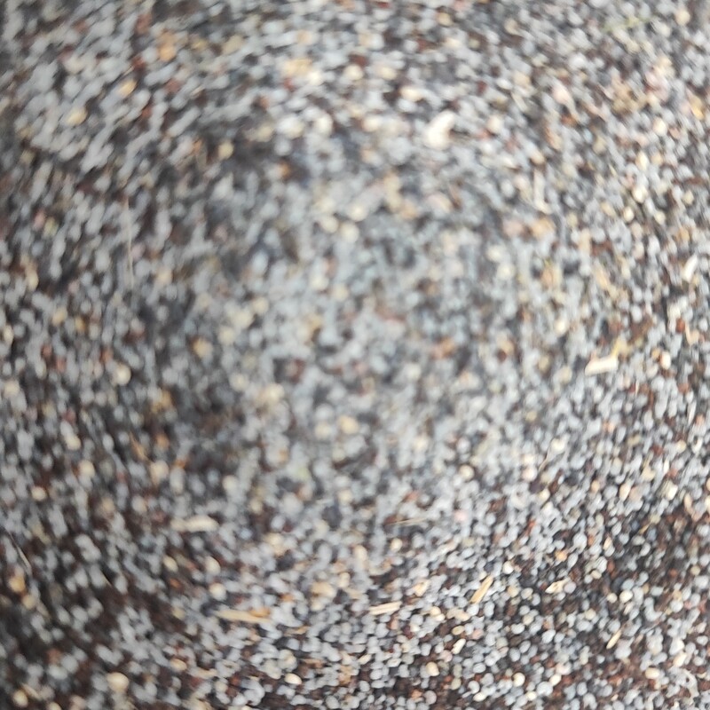 تخم خشخاش خام سیاه افغان اصل 250 گرم