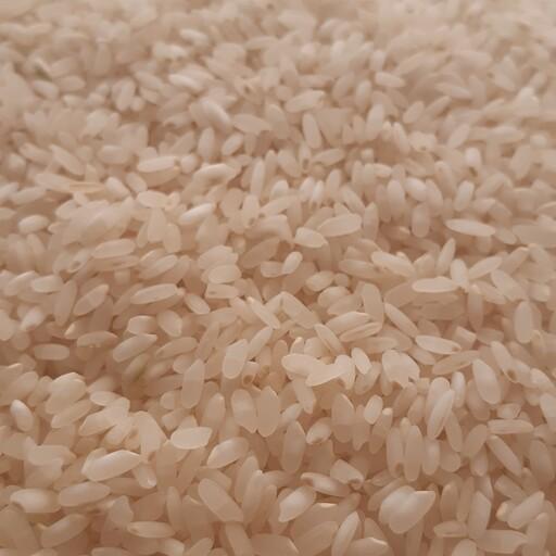 برنج لنجان با پخت عالی و عطری دلپذیر با خرید بدون واسطه