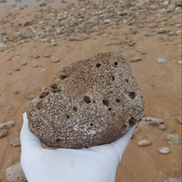 سنگ  ساحلی سرشار از انرژی ،  زیبا و طبیعی   مناسب استند ، آکواریوم ، تراریوم، عکاسی ،دکوری ، ویترین و انواع کارهای هنری