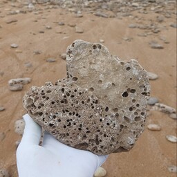 سنگ حفره دار قهوه ای زیبای ساحلی  مناسب استند ، آکواریوم ، تراریوم، عکاسی ،دکوری ، ویترین و انواع کارهای هنری