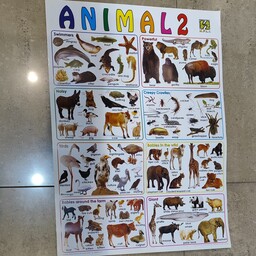 پوستر آموزشی زبان انگلیسی حیوانات Animals 2