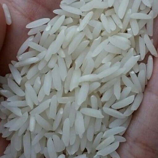 برنج هاشمی گیلان درجه یک گیلانا(10کیلویی)