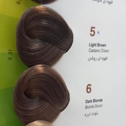 رنگ موی اسکالیم طبیعی N5 تا N6 مخصوص موهای کراتین شده low ammonia