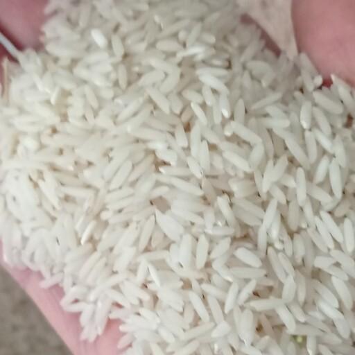برنج وحشی درباری امساله دربسته  های(10کیلویی)