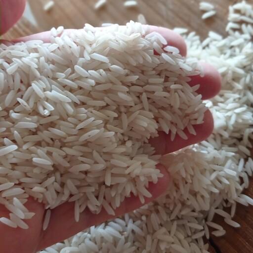 برنج وحشی درباری امساله دربسته  های(10کیلویی)