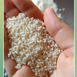 برنج نیم دانه امسال