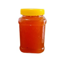 عسل وحشی ییلاق سوباتان تالش(دیابتی)